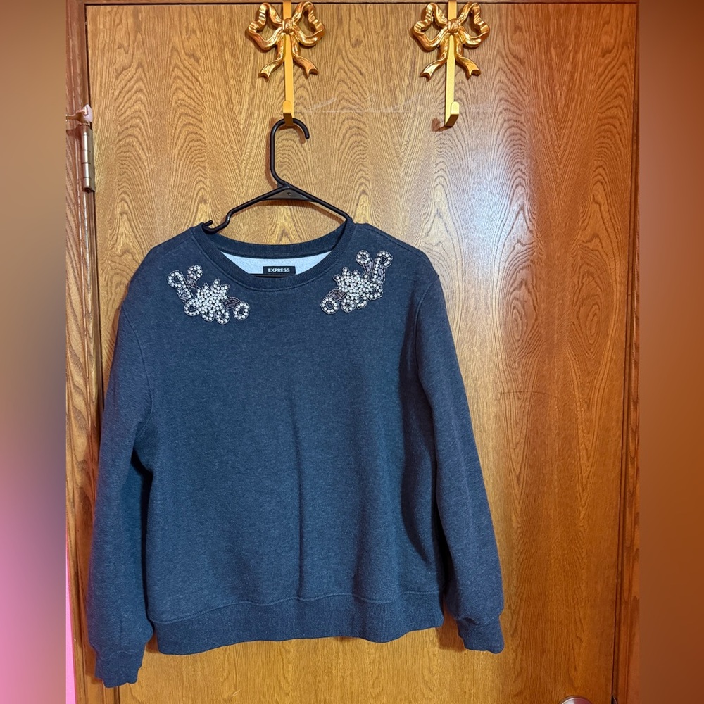 NWOT Express Sweatshirt